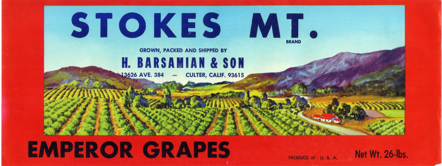 Stokes Mt Stokes Mt